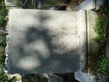 image of grave number 624033